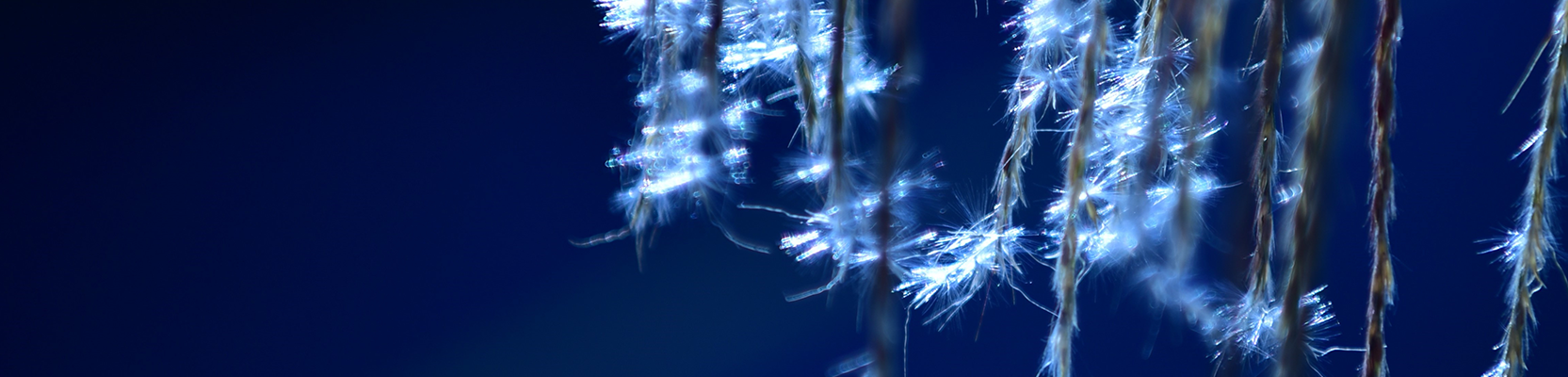 Perpetual's Products and platforms