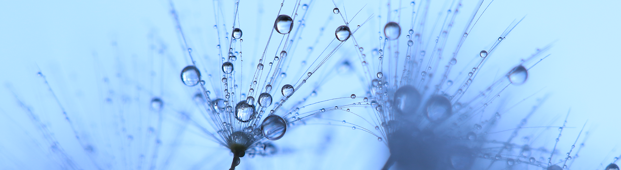 Perpetual Industrial Share Fund