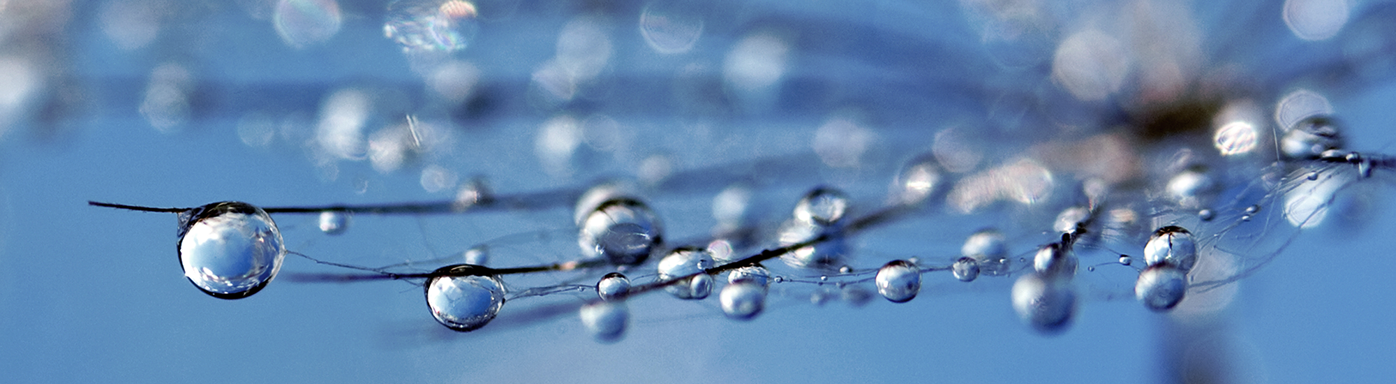 Perpetual SHARE-PLUS Long-Short Fund - Class S