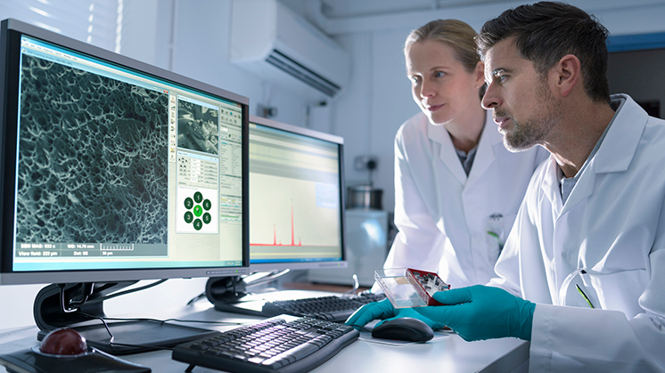 Private families and individuals